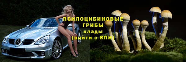 не бодяженный Аркадак